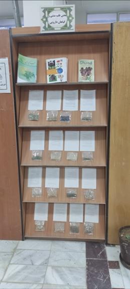 بخش گیلهان دارویی